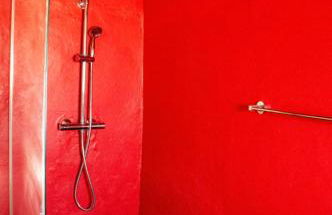 Quintinha Viçosa - Foto 30