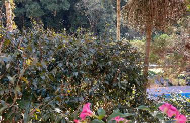 Apart-hotel Cantinho da Serra - Foto 28