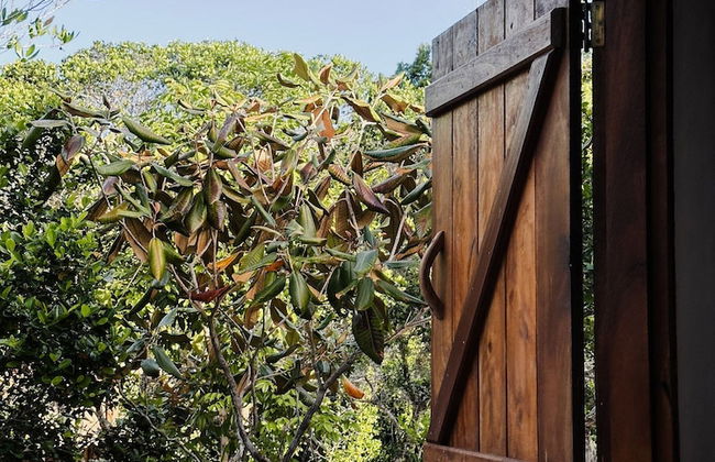 Casa da Mata Corumbau - Photo 30