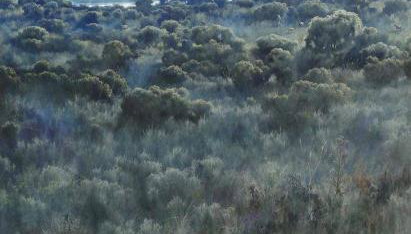 Casa Rural El Lio - Foto 4