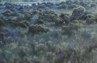 Casa Rural El Lio - Foto 4