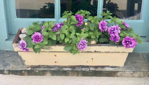 Sea Haze Charlestown - Foto 3