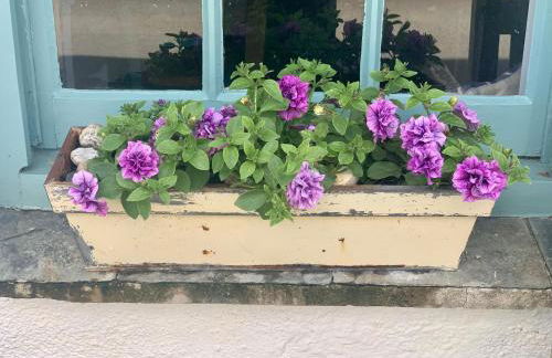 Sea Haze Charlestown - Foto 3