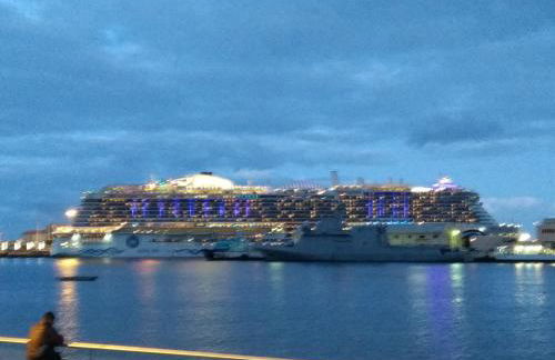 calandria las palmas - Foto 4