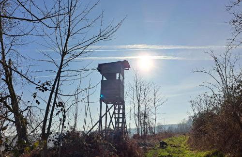 Steewer Landhaus gemütliche Ferienwohnung bis 6 Pers in ruhiger Ortsrandlage - Foto 43