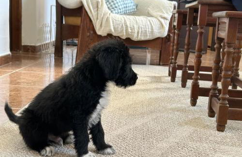 Casa Julián - Foto 44