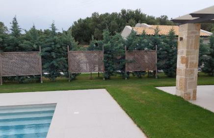 Alekos Beach Houses-Elia Villas - Foto 57