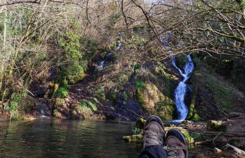 Suite Curry - Photo 20