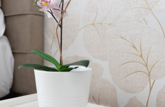 247 LuxuryRooms - Foto 58