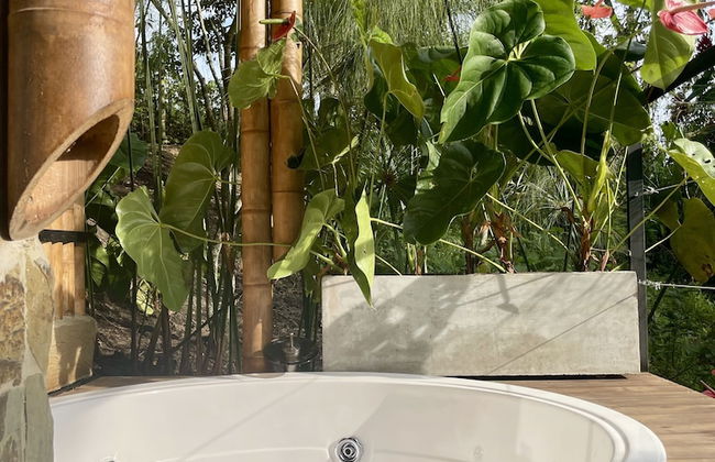 EcoHotel Alma - Foto 9