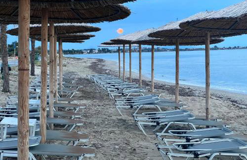 Къща за Гости в Созополи - Foto 28