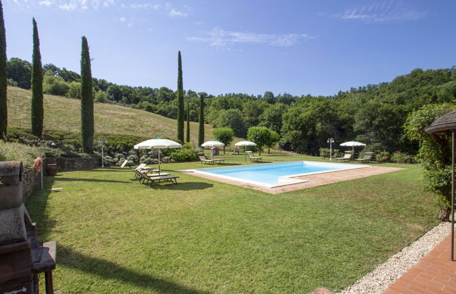 Corbezzolo - Foto 26