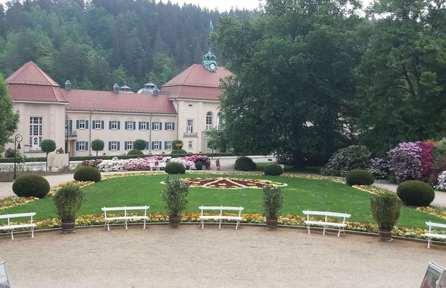 Nature & Wellness in Sohl - Photo 33