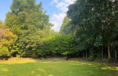 The GreyStoke Mansion With Private Grounds - Foto 67