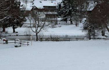 Ferienwohnung Paradiso,78141Schönwald,Schwarzwald,1100mÜM Taunusstrasse 19f, mit Pool und Sauna - Foto 30
