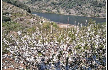 Douro Balcony - Foto 53