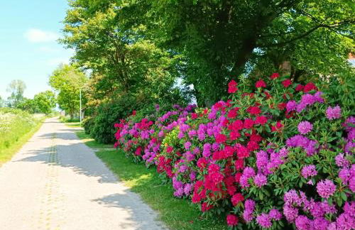 Ferienwohnung Bonishof - Foto 21