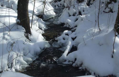 Ferienwohnung Hankeln - Foto 29