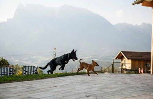 Oberschlichterhof - Foto 19