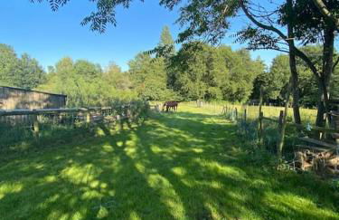 Location maison Mirambeau - 17150 - Foto 23