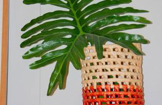 Studio 230m from the Brooklyn subway - Foto 31