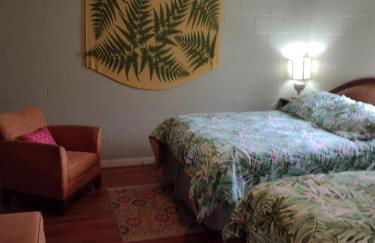 Pohaku Place - 3000 sqft of tropical charm spa - Foto 3