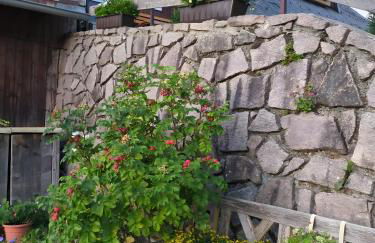 Schwarzwaldferienwohnung Oberle - Foto 35