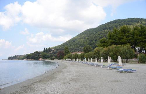 Machi Studios - Foto 54