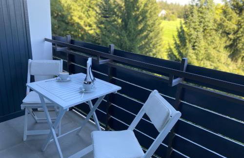 Schwarzwald Wohnung Kniebis - Foto 15