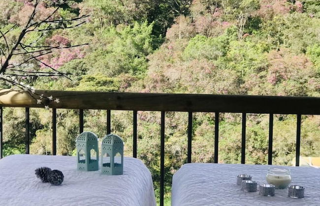 ecohotel zona 7 - Photo 72