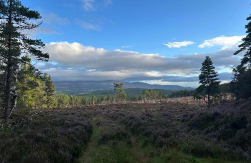 Kirkstone Lodge - Foto 42