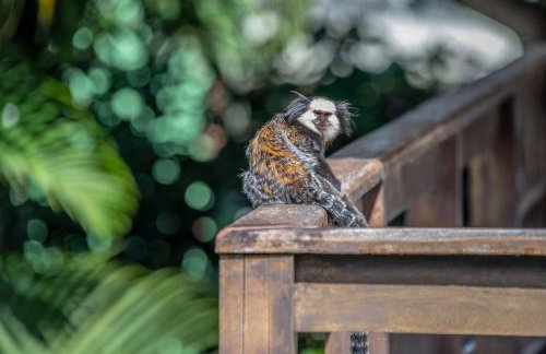 Village Mutà - Foto 140