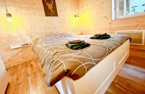 Chalet les Estives au pied des pistes, le lioran, terrasse, 2 chambres, 4 lits - Photo 18