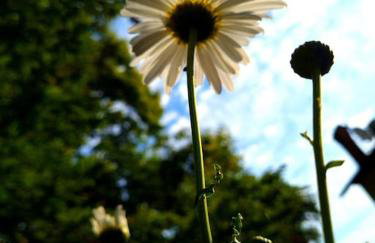 Zgora mora-above the sea-peacefull,family frendly - Foto 26