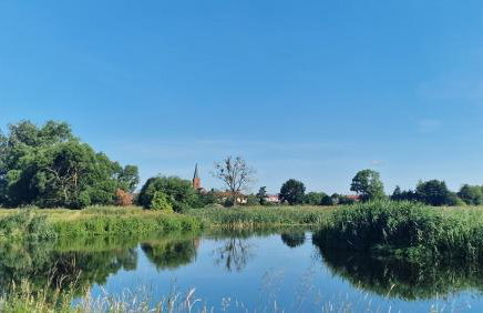 "Jabłonie i grusze" Nice home in a big garden with sauna and wifi - Foto 33