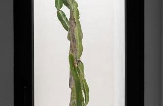 Maison avec piscine à Valencia - Photo 43