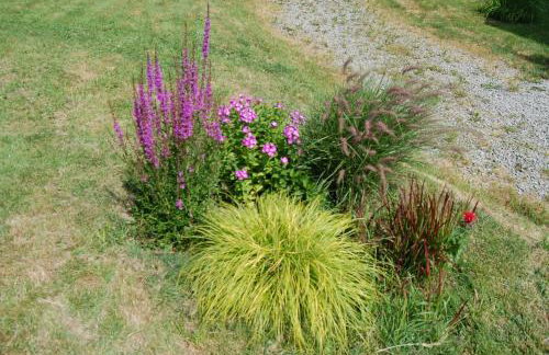 Wiśniowe Zacisze - Agroturystyka - Photo 21