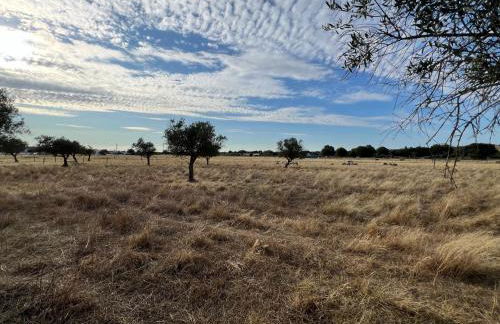 Casas SaoMiguel33 - Foto 36