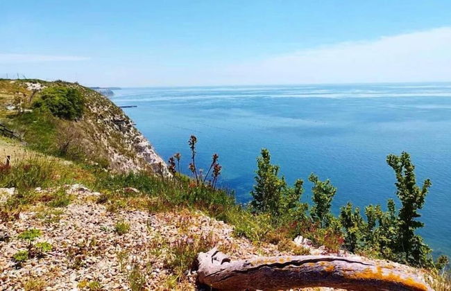 July Morning Seaside Resort - Photo 62