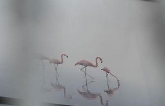 Luxury Penthouse Retreat with Epic Ocean Views & Log Burner - Foto 156