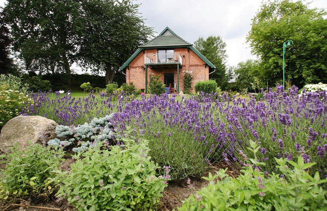 Country House by Lake Dummer With Rowing Boat - Foto 19