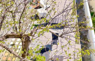 Borgo Virginia - Sea View in Amalfi Coast - Foto 40