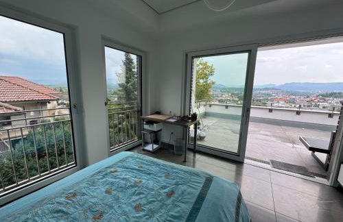 Ferienwohnung - Penthauswohnung Albblick, traumhafter Ausblick, ruhige Lage - Foto 3