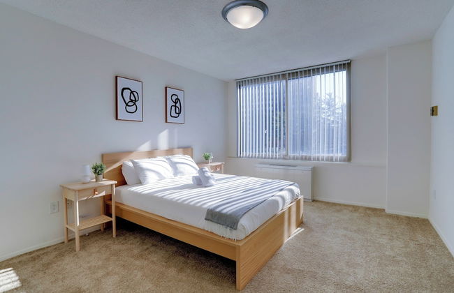 Spacious 2BR Apartment in Crystal City - Photo 9