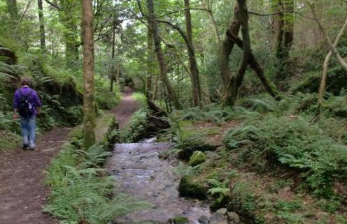 The Downshire Arms Apartments Hilltown - Foto 73