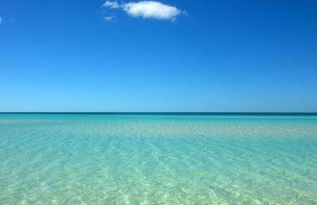 Vila Branca - Foto 40