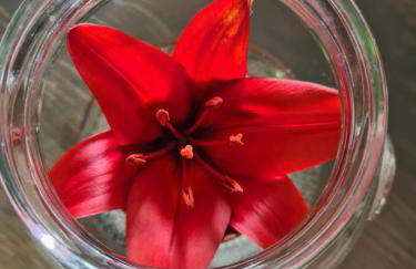 Happy Sparrow - Foto 77