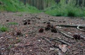 Casa el rey 12 - Apartamentos Buenos Aires y Figueras AR-1419-AS - Foto 32