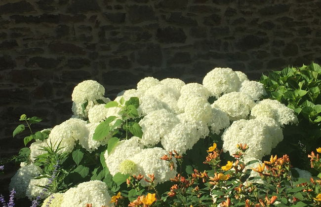 Poggio Corsucci - Foto 67