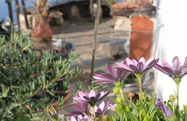 Finca Casa Madera 2 - Foto 29